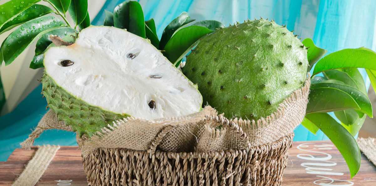 5 Manfaat Menakjubkan Buah Sirsak untuk Kesehatan Kulit dan Rambut