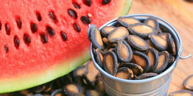 Jangan Dibuang! Ini 7 Khasiat dan Manfaat dari Biji Semangka