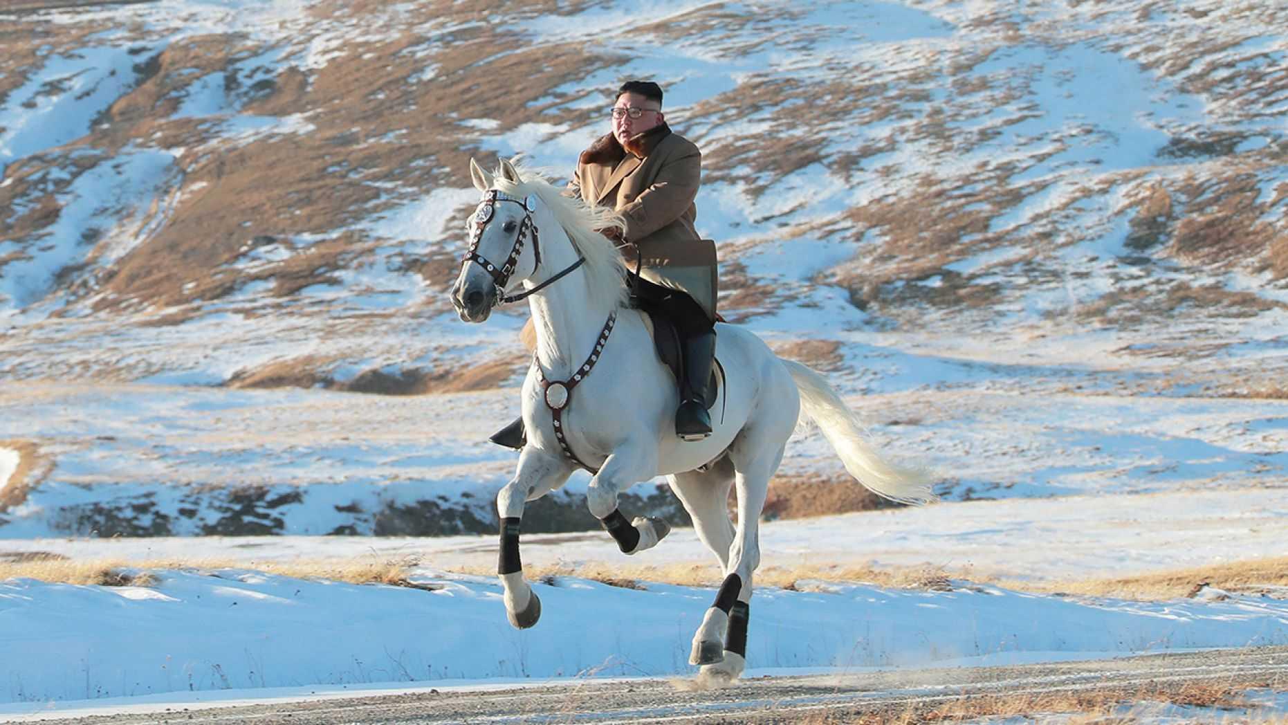 Wow, Kim Jong Un Habiskan Rp6,8 Miliar untuk Kuda Putih Asal Rusia