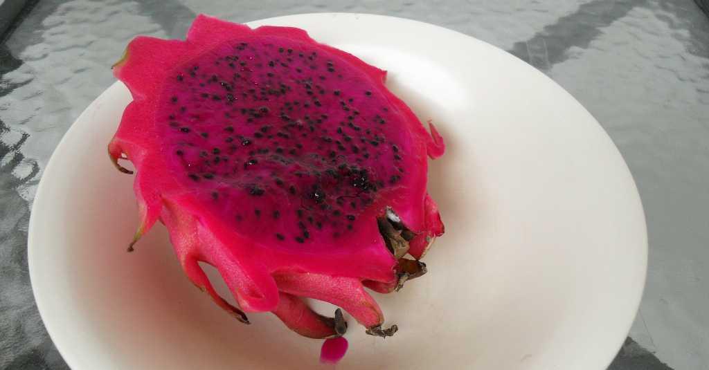 6 Manfaat Luar Biasa Buah Naga yang Jarang Diketahui