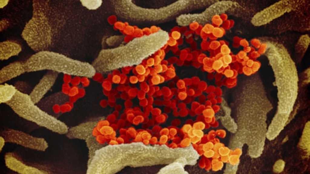 WHO: 4 dari 5 Pasien Virus Korona Akan Terkena Penyakit Ringan