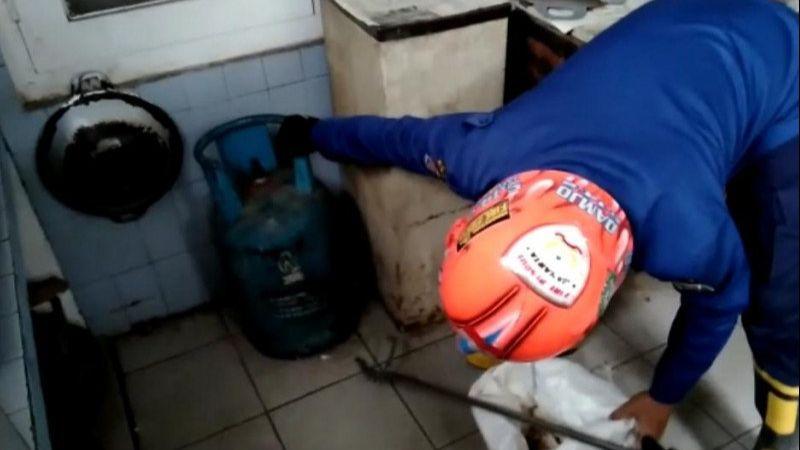 Hiiii, Ditemukan Ular Kobra di Kolong Tabung Gas Warga Jatinegara
