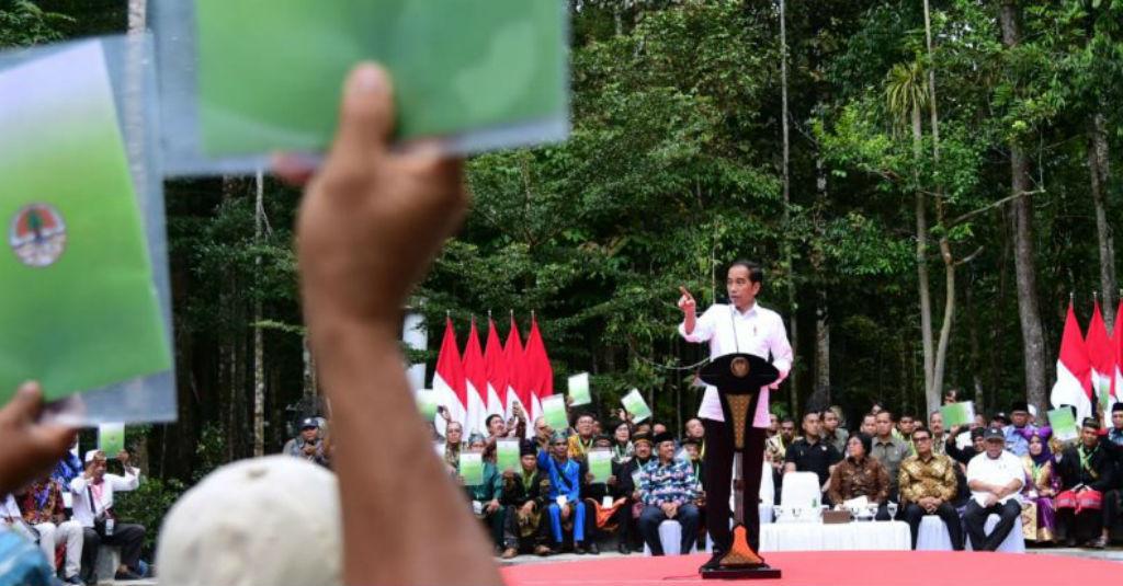 Presiden Jokowi Serahkan SK Perhutanan Sosial Seluas 73,6 Ribu Hektar