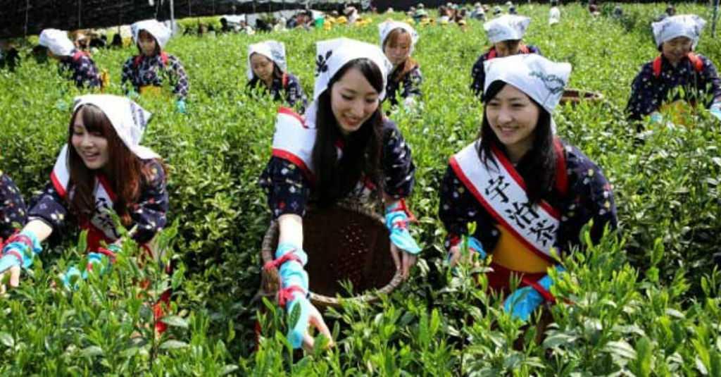 Dear Millenials, Usaha Pertanian Begitu Menjanjikan Lho!