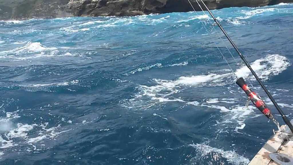 Turis Rusia Hilang Misterius di Nusa Penida, Diduga Ditarik Ikan Besar