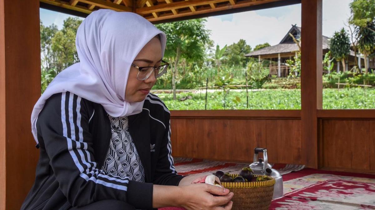 Manggis Wanayasa, Primadona dari Purwakarta dengan Daya Tahan Luar Biasa