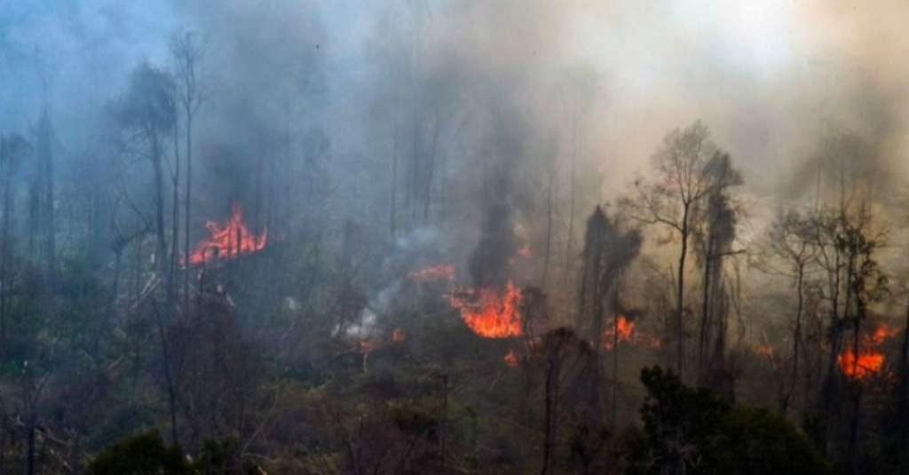 Satgas Karhutla Riau Nyatakan 21 Orang Telah Ditetapkan Sebagai Tersangka
