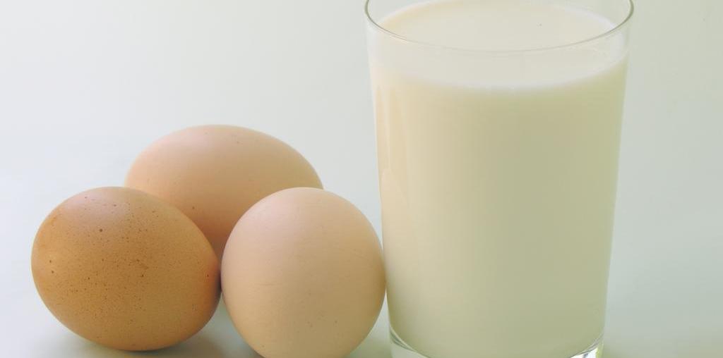 Benarkah Makan Telur dengan Susu Secara Bersamaan Berbahaya Bagi Tubuh?