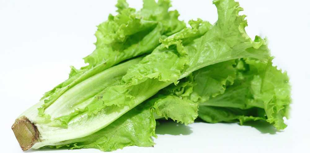 5 Manfaat Ajaib Daun Selada untuk Kesehatan dan Kecantikan Kulit