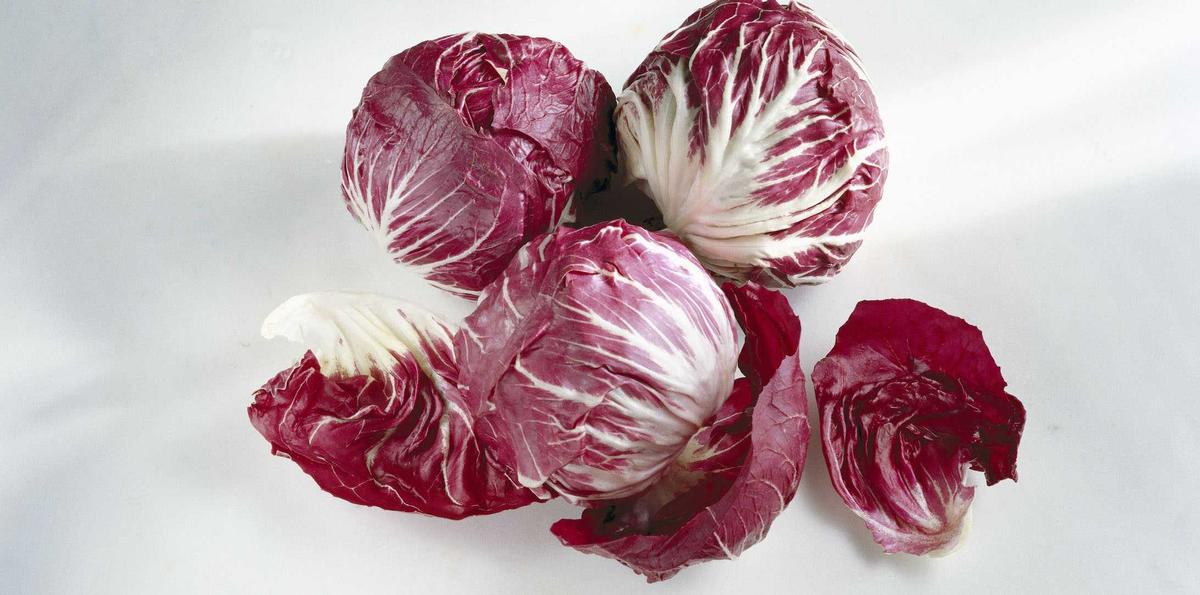8 Manfaat Radicchio, Sawi Putih Italia yang Luar Biasa untuk Kesehatan