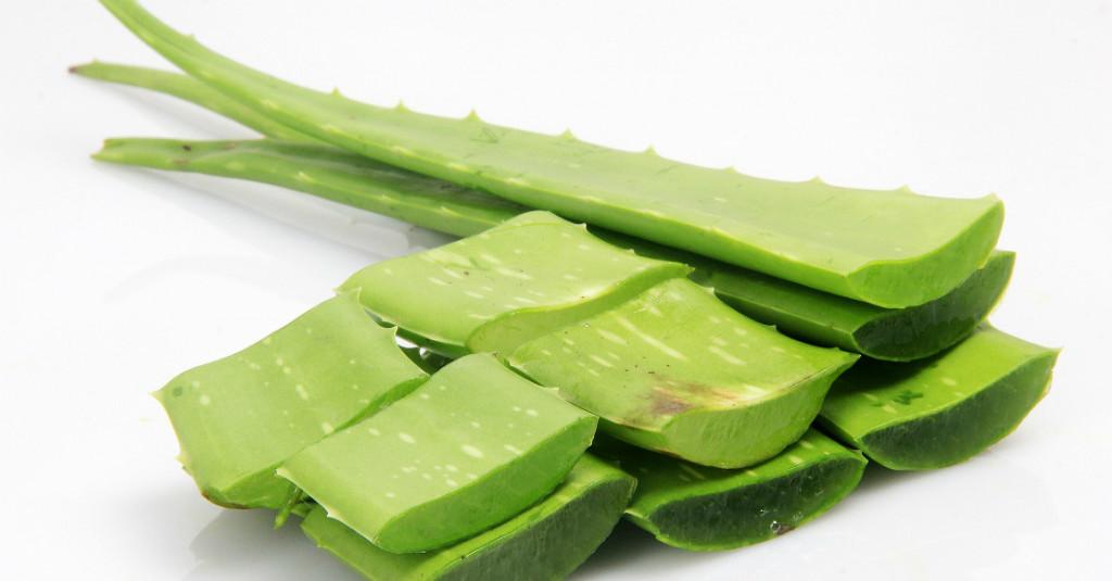 5 Manfaat Lidah Buaya yang Jarang Diketahui