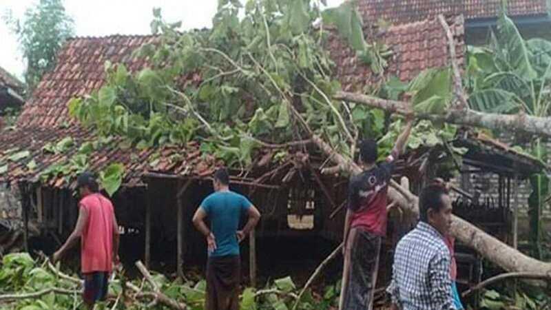 52 Rumah Warga di Bantul Rusak Tertimpa Pohon Tumbang Akibat Cuaca Ekstrem