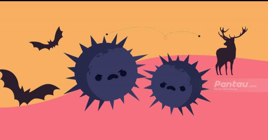 Kata Peneliti LIPI, Korona Berpotensi Menular Melalui Feses