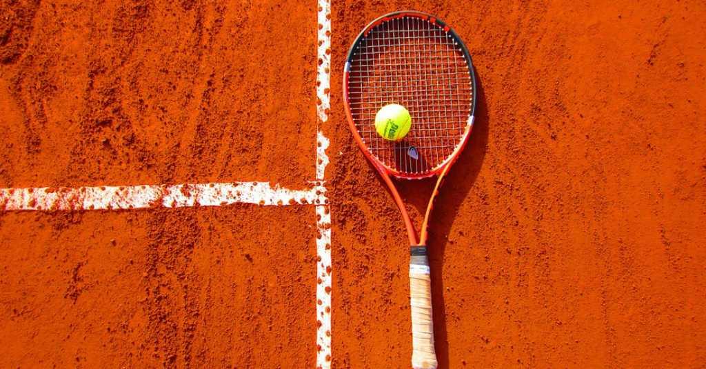 Final dan Playoff Fed Cup Ditunda karena Virus Korona