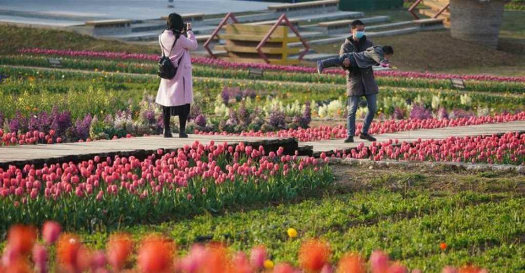 China Meradang dan Tersenyum, Korona Kini Mencari 'Inang' Baru
