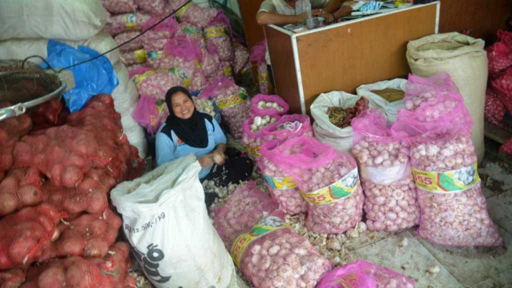 Kementan-Kemendag Satu Suara Soal Relaksasi Bawang Putih dan Bombai