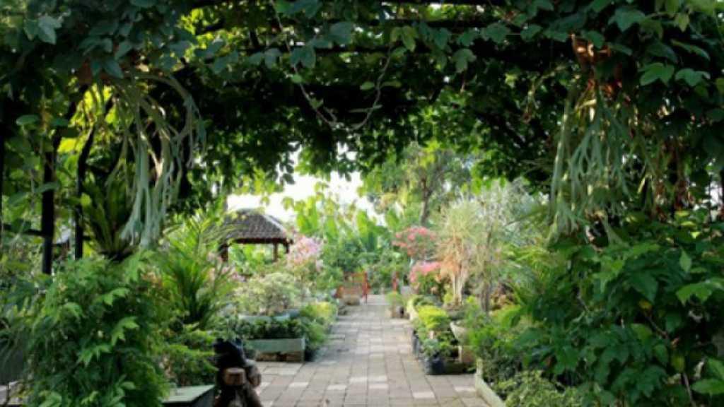 Physical Distancing Bikin Bosan Banget? Berkebun Jawabannya