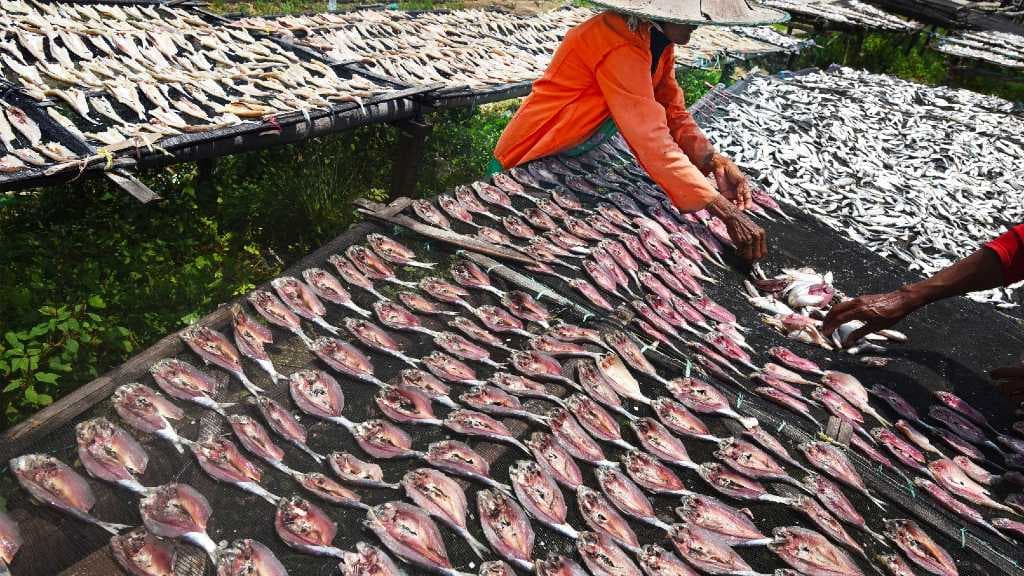 KKP Minta Akses Logistik Perikanan Tak Dibatasi di Zona Merah COVID-19