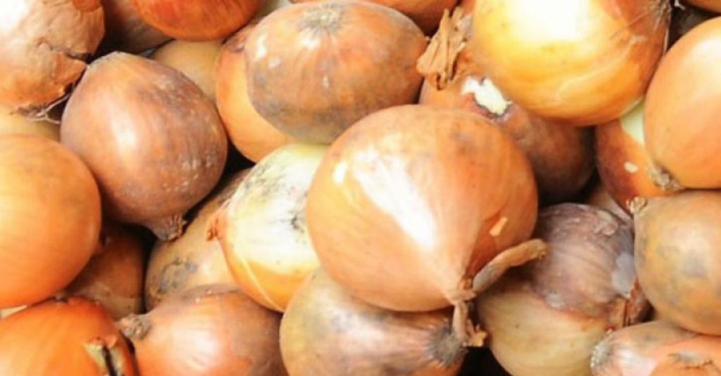 Kementan Percepat Impor Bawang Bombai dari 3 Negara Ini