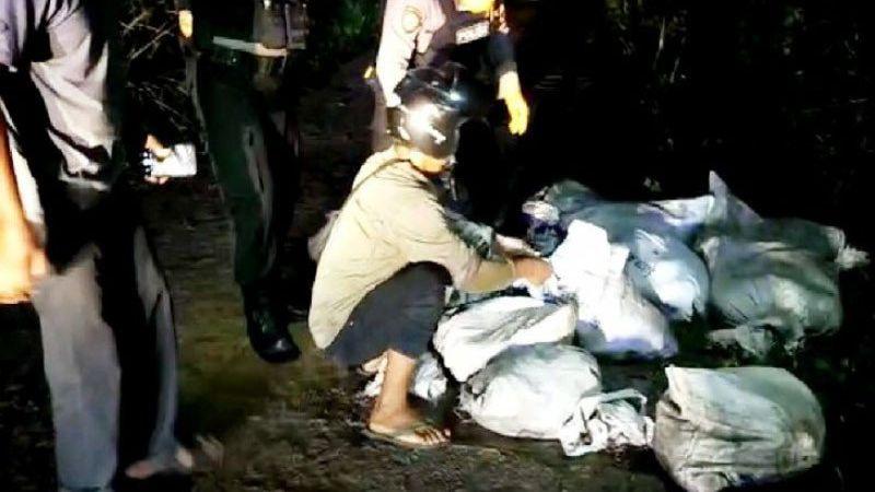 Heboh Penemuan 10 Karung Berisi Ular Piton Besar di Sampit