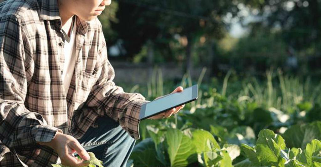 Jauh dari Harapan, Petani Millenials Indonesia Hanya 2,7 Juta Orang