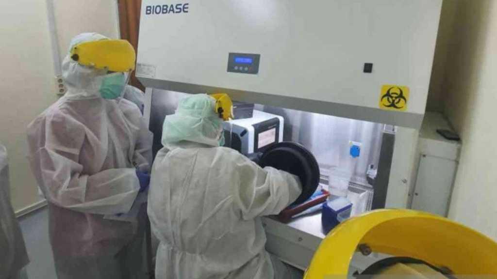 34 Laboratorium di RI Sudah Diaktifkan untuk Pemeriksaan COVID-19