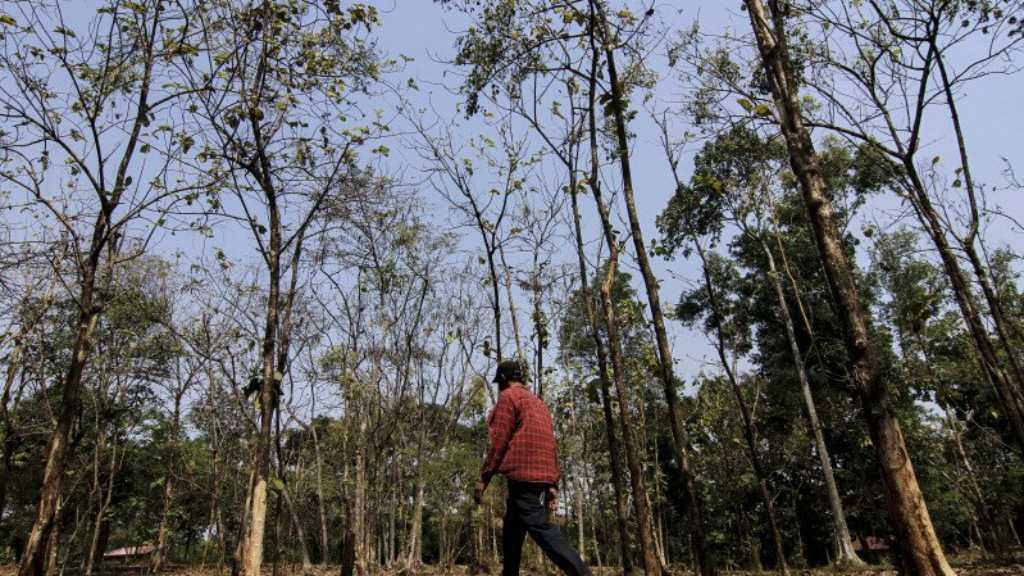 Ternyata, Ini Penyebab Fenomena Suhu Panas yang Meliputi Daerah Indonesia