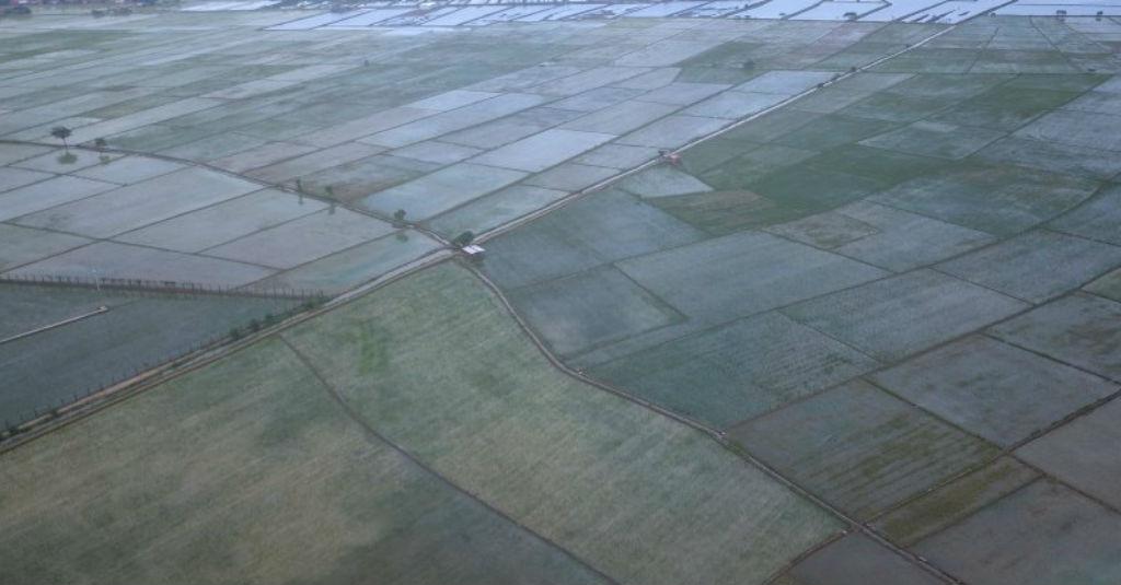 Demi Penghematan, Kementan Hapus Anggaran Cetak Sawah 10.000 Hektare