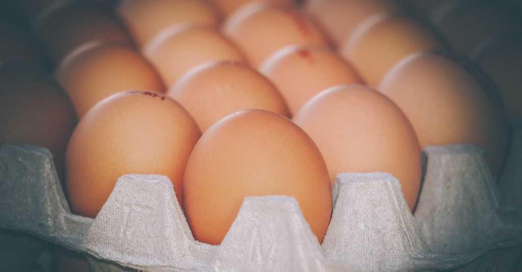 Hindari Menyimpan Telur di Bagian Pintu Kulkas