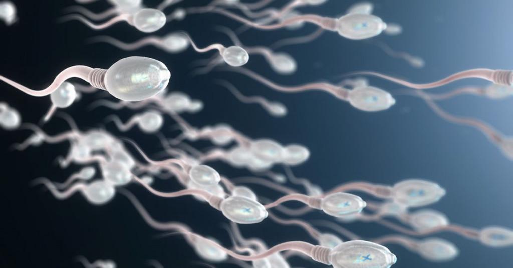 Uji Klinis di China Ungkap Data Soal Sperma dan Virus Korona