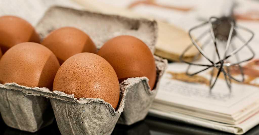 Tips Cara Memilih Telur yang Sehat