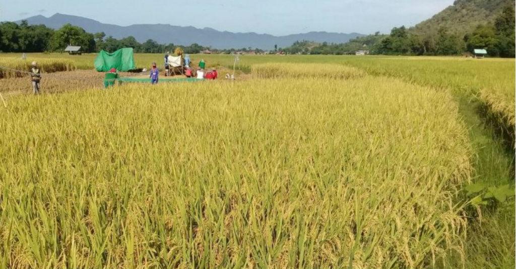 BPS: Upah Buruh Tani Naik Tipis pada April 2020