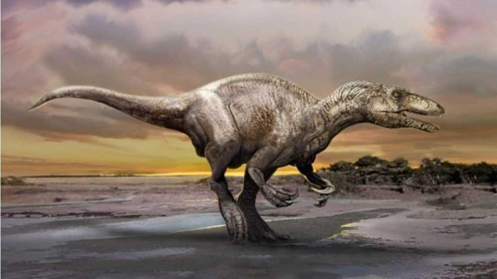 Fosil Megaraptor Penghuni Terakhir Bumi Ditemukan di Argentina