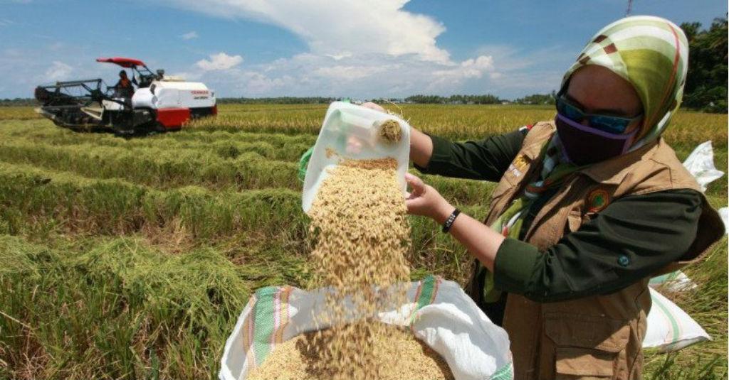 Pimpinan DPR: Nilai Pancasila Mampu Jaga Stabilitas Pangan di Masa Pandemi