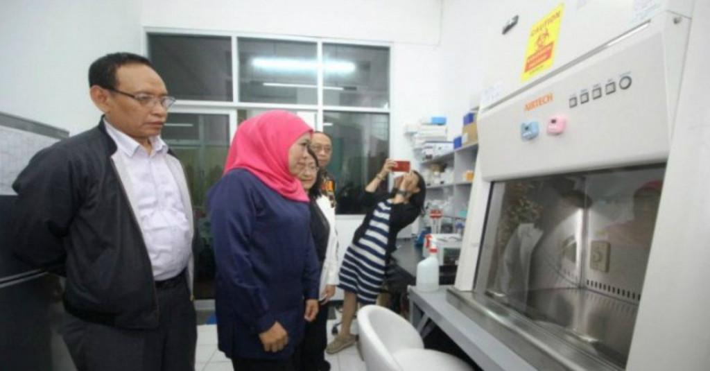 Wow, 99 Ruangan Pasien Rujukan COVID-19 di Surabaya Kini Kosong