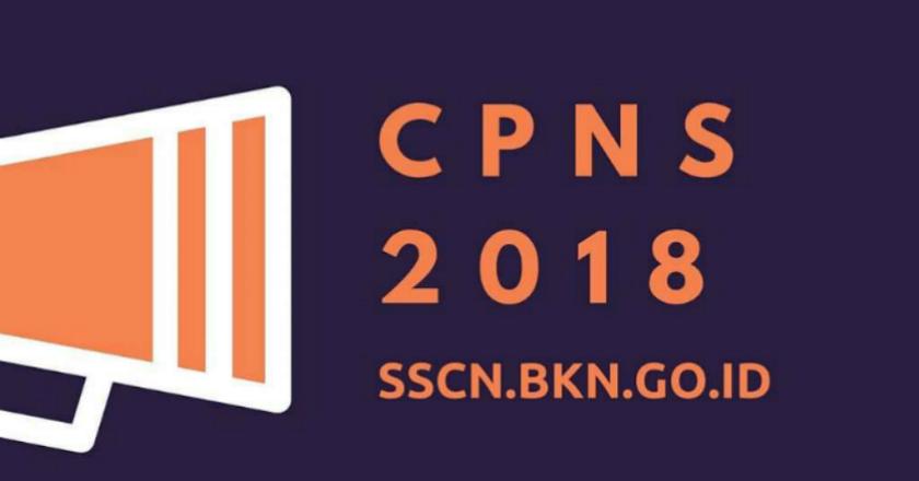 Catat! Pendaftaran CPNS 2018 Dibuka Hanya Melalui Situs BKN