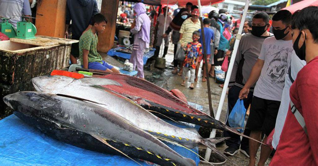 Demi Tambah Nilai Jual Komoditas, KKP Kaji Pengembangan Ikan Tuna