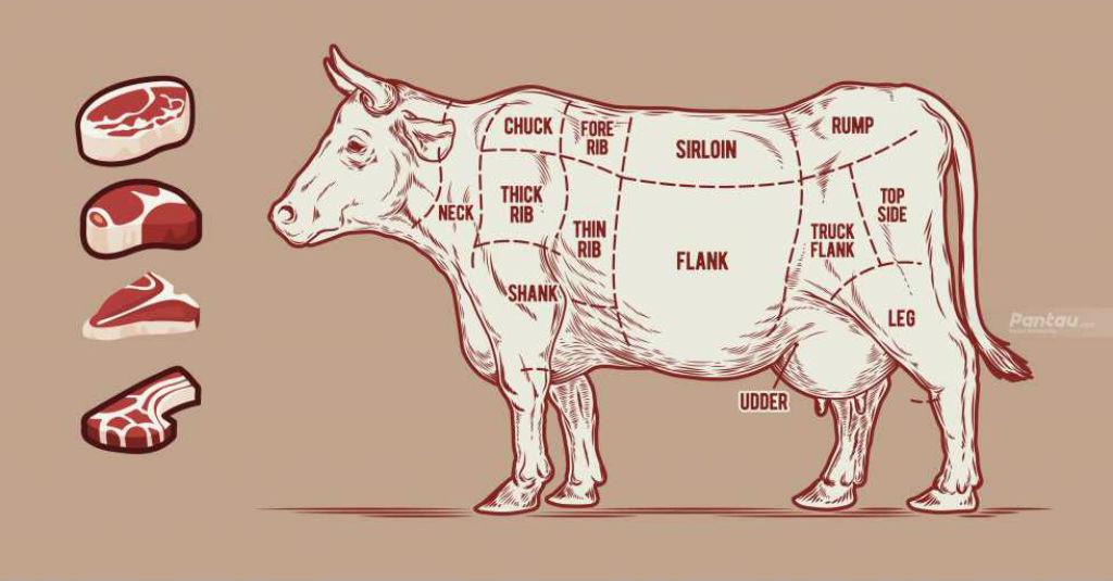 Begini Pelaksanaan Kurban di Situasi Pandemi dari Kementan
