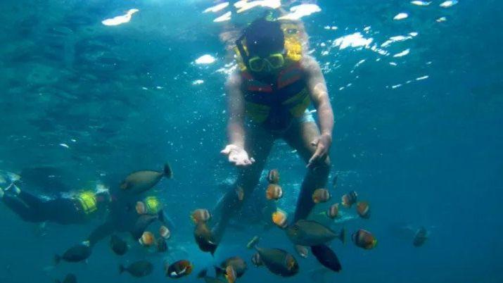 Akademisi: COVID-19 Berdampak Positif Bagi Perbaikan Ekosistem Laut