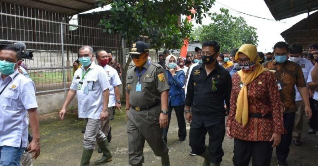 Mentan: Lampung Potensial Jadi Contoh Pertanian di Indonesia