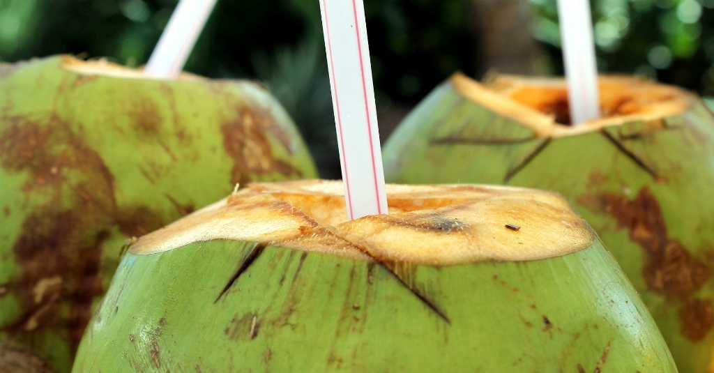 5 Manfaat Air Kelapa Bagi Kesehatan