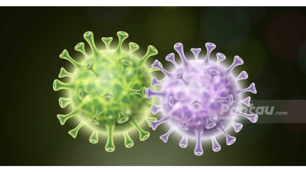 Kemenkes Sebut Pasien COVID-19 Rentan Terkena Demam Berdarah