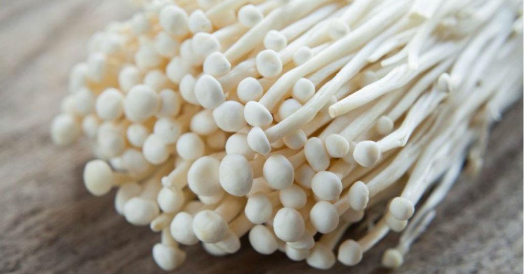 Kementan Musnahkan Produk Jamur Enoki Asal Korea Selatan