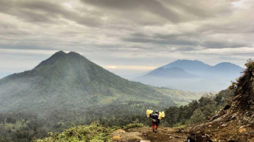 Daftar Lengkap 29 Taman Nasional yang Siap Dibuka Kembali