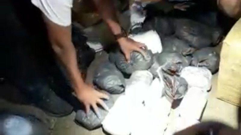 Penyelundupan 25 Kilogram Narkoba ke Palu Berhasil Digagalkan