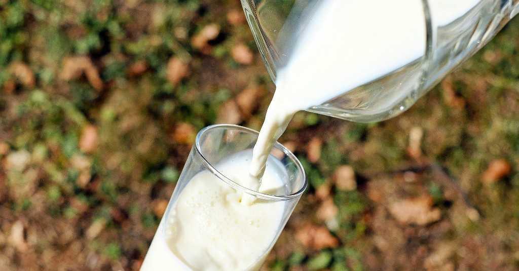Mana yang Lebih Baik di Konsumsi Susu Almond atau Susu Sapi?