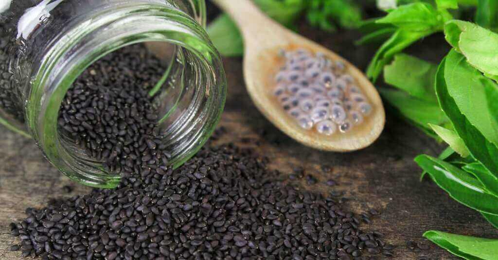 Sering Lupa? Coba Tingkatkan Ingatan dengan Asupan Ini