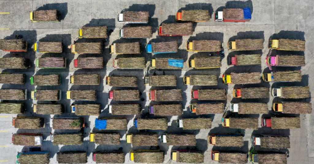 Masuk Puncak Panen, Kementan Produksi Gula Capai 540.000 Ton