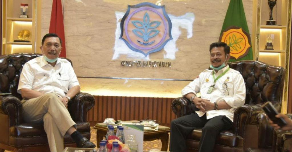 Menko Marves dan Mentan Garap Food Estate di Humbahas
