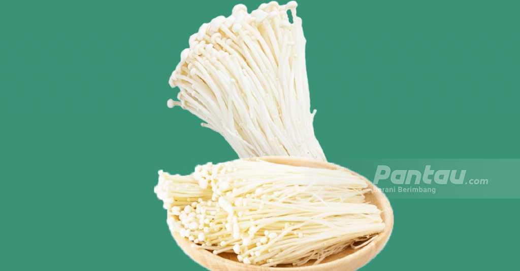 8,1 Ton Jamur Enoki Asal Korsel Dimusnahkan Kementan